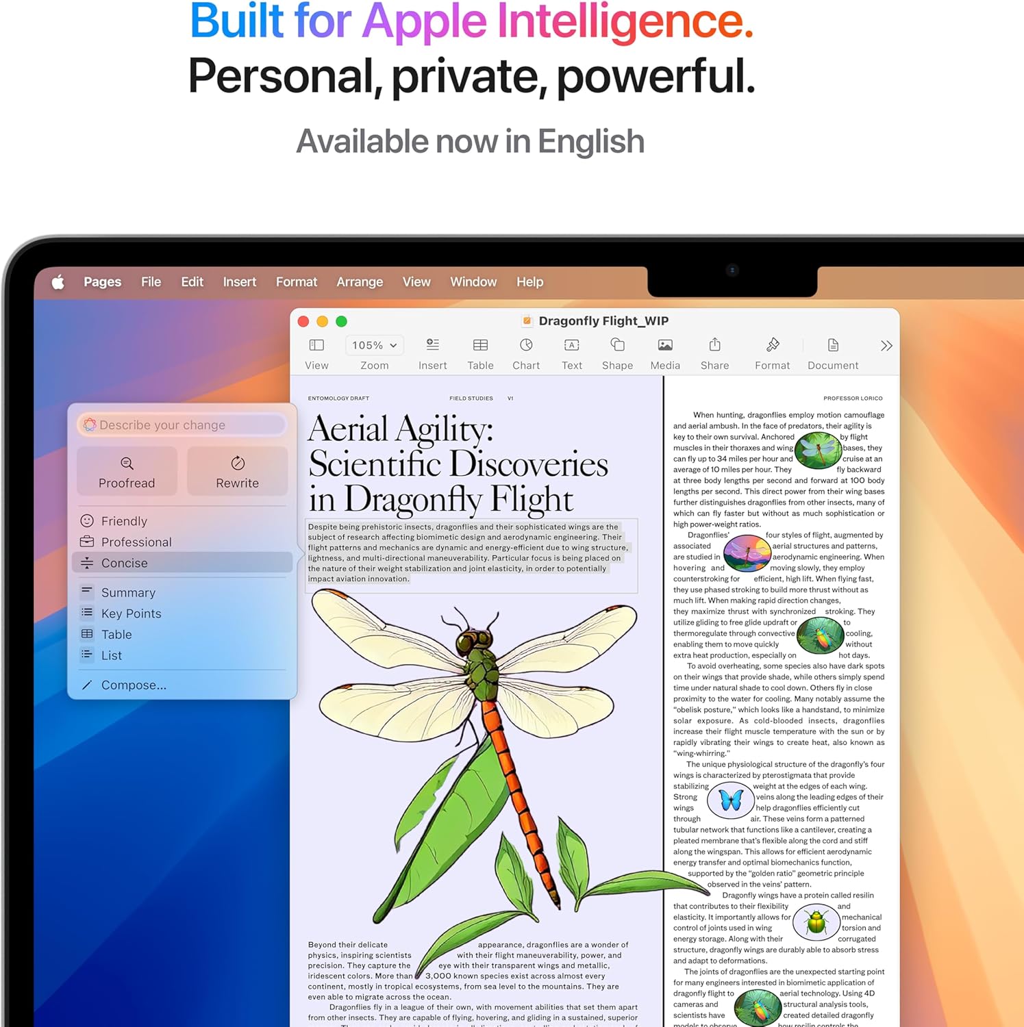 Apple 2025 MacBook Air (13-inch, Apple M4 chip with 10-core CPU and 8-core GPU